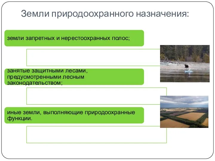 Земли природоохранного назначения: земли запретных и нерестоохранных полос; занятые защитными лесами,