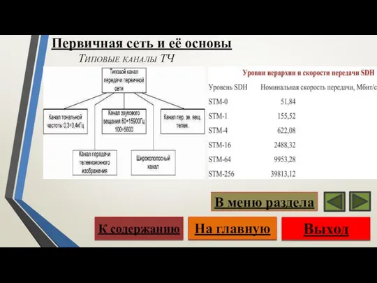 Типовые каналы ТЧ Выход На главную К содержанию В меню раздела Первичная сеть и её основы