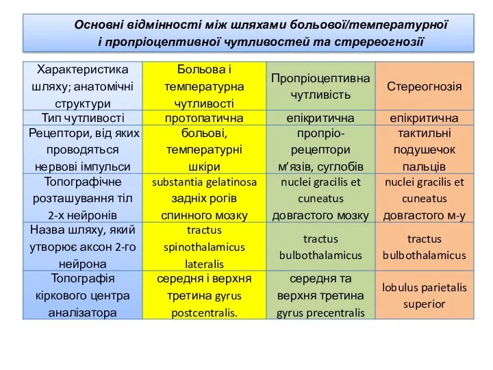 Основні відмінності між шляхами больової/температурної і пропріоцептивної чутливостей та стререогнозії