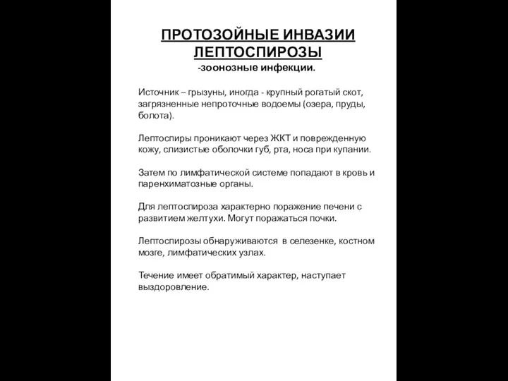 ПРОТОЗОЙНЫЕ ИНВАЗИИ ЛЕПТОСПИРОЗЫ зоонозные инфекции. Источник – грызуны, иногда - крупный