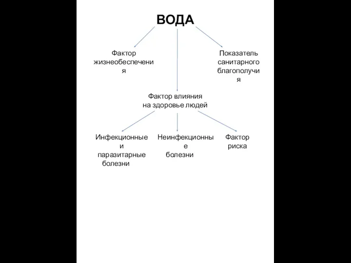 ВОДА Фактор жизнеобеспечения Показатель санитарного благополучия Фактор влияния на здоровье людей