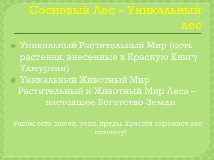 Сосновый Лес – Уникальный лес Уникальный Растительный Мир (есть растения, внесенные