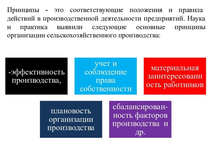 Принципы - это соответствующие положения и правила действий в производственной деятельности