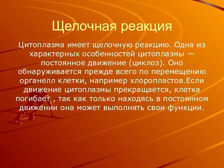 Щелочная реакция Цитоплазма имеет щелочную реакцию. Одна из характерных особенностей цитоплазмы