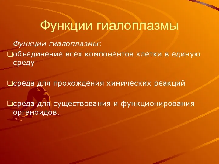 Функции гиалоплазмы Функции гиалоплазмы: объединение всех компонентов клетки в единую среду