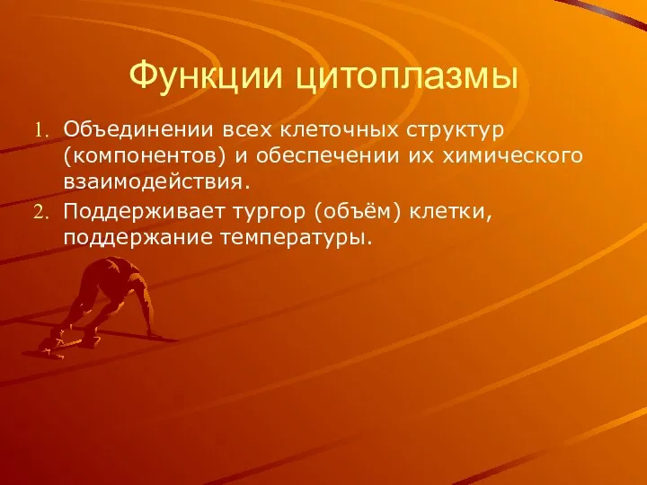 Функции цитоплазмы Объединении всех клеточных структур (компонентов) и обеспечении их химического