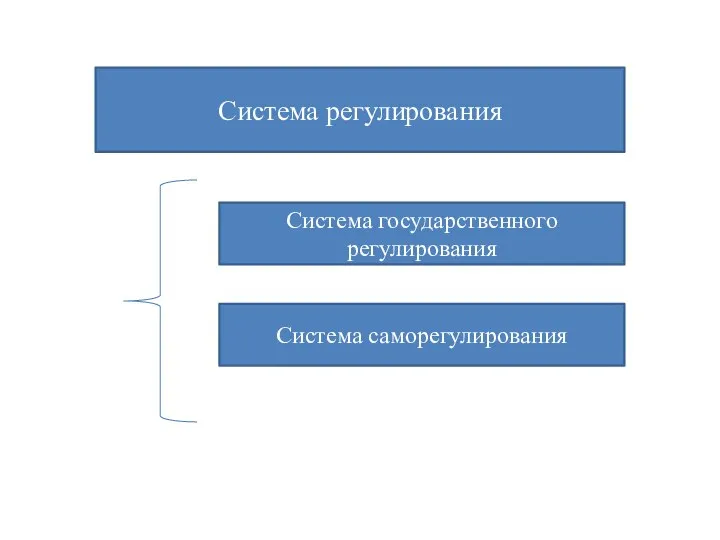 Система регулирования Система государственного регулирования Система саморегулирования