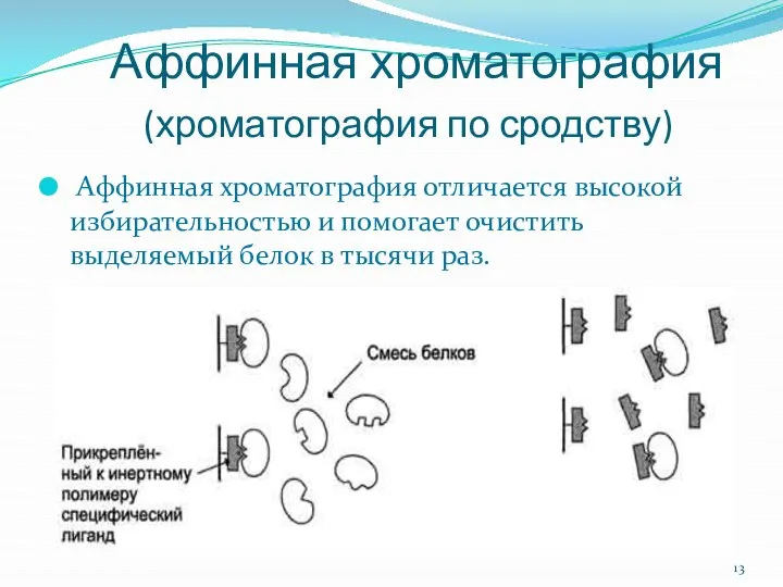 Аффинная хроматография (хроматография по сродству) Аффинная хроматография отличается высокой избирательностью и