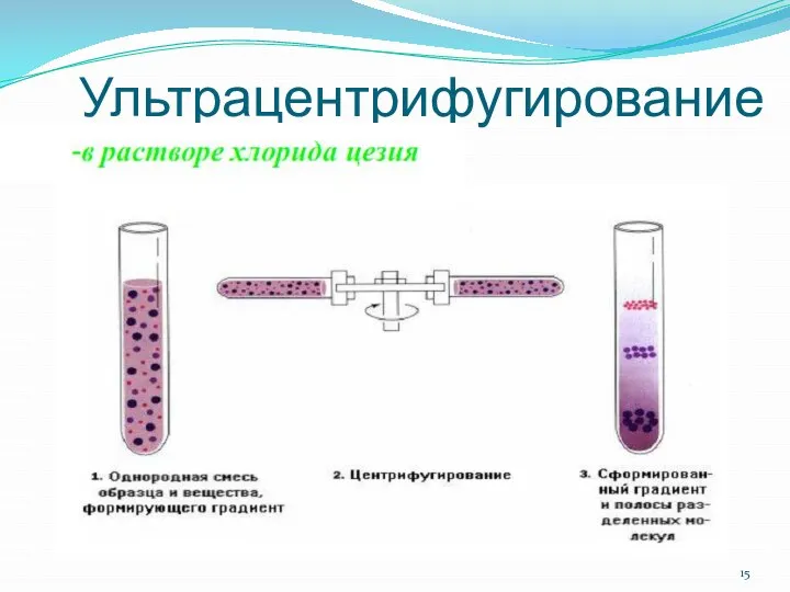 Ультрацентрифугирование