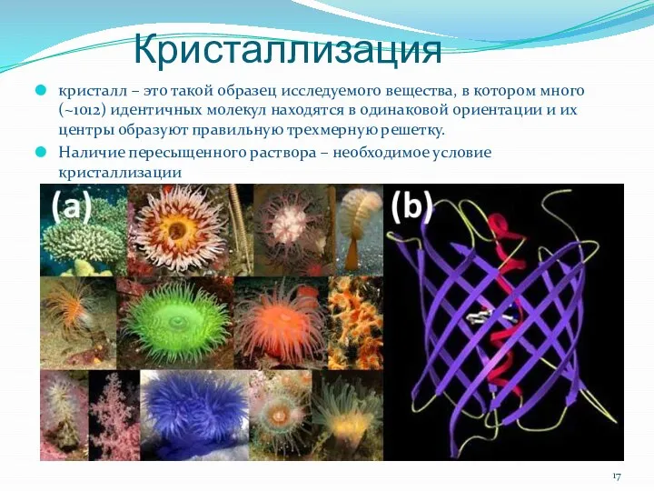 Кристаллизация кристалл – это такой образец исследуемого вещества, в котором много