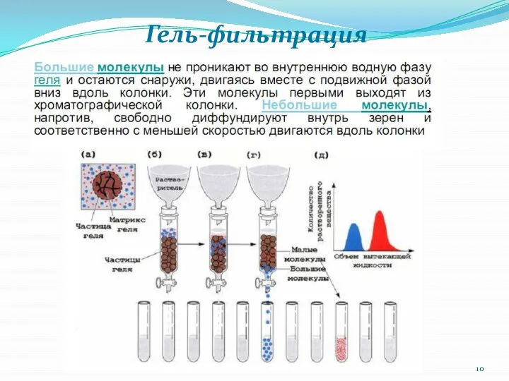 Гель-фильтрация