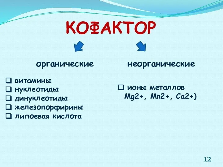 КОФАКТОР органические неорганические витамины нуклеотиды динуклеотиды железопорфирины липоевая кислота ионы металлов Mg2+, Мn2+, Са2+)