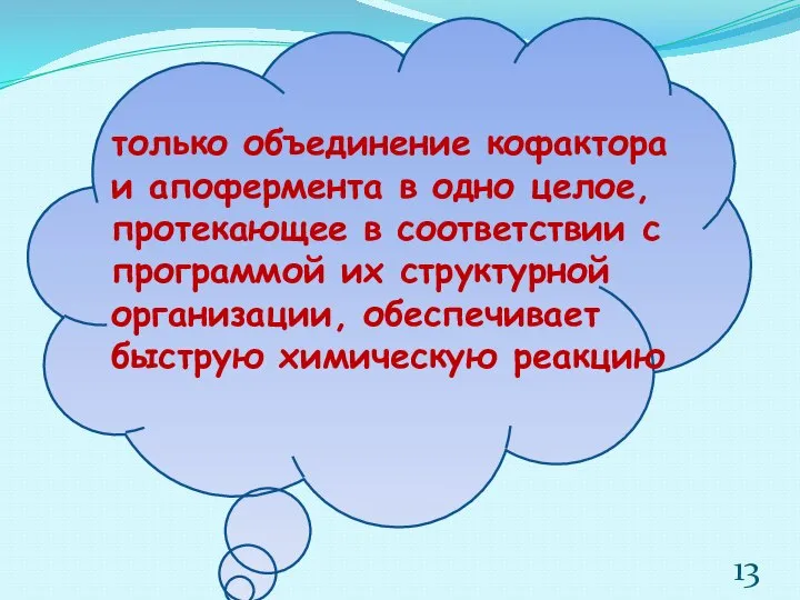 только объединение кофактора и апофермента в одно целое, протекающее в соответствии