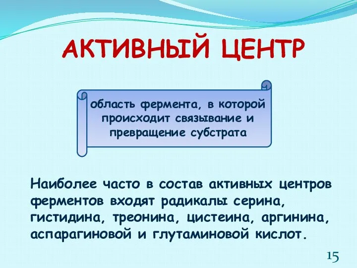 АКТИВНЫЙ ЦЕНТР область фермента, в которой происходит связывание и превращение субстрата