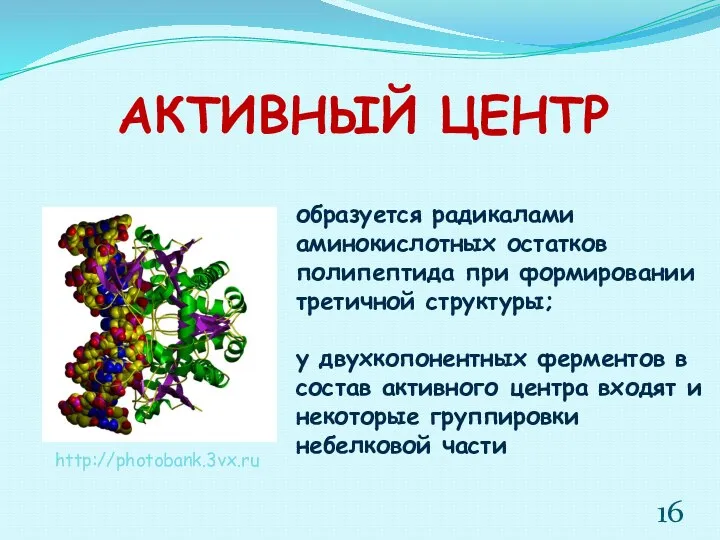 образуется радикалами аминокислотных остатков полипептида при формировании третичной структуры; у двухкопонентных