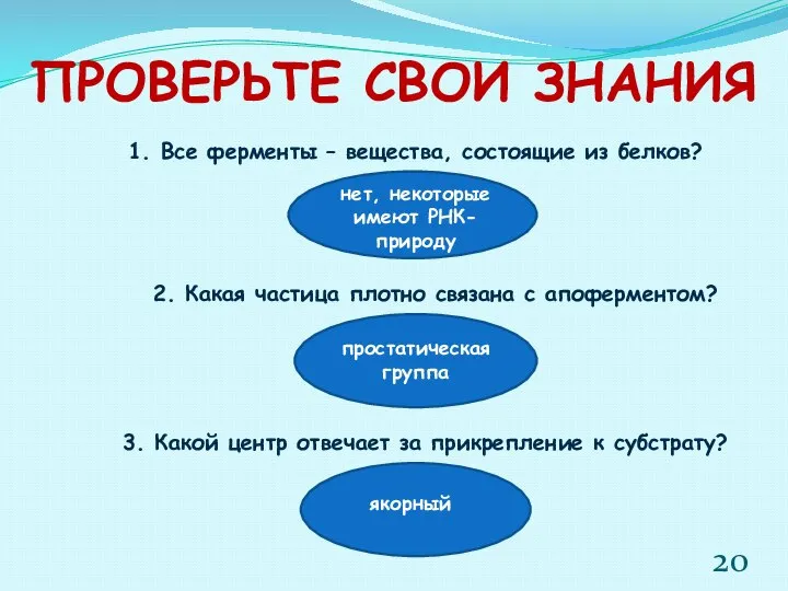 ПРОВЕРЬТЕ СВОИ ЗНАНИЯ 1. Все ферменты – вещества, состоящие из белков?