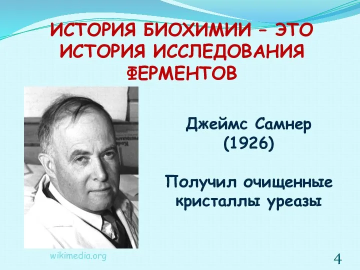 ИСТОРИЯ БИОХИМИИ – ЭТО ИСТОРИЯ ИССЛЕДОВАНИЯ ФЕРМЕНТОВ Джеймс Самнер (1926) Получил очищенные кристаллы уреазы wikimedia.org