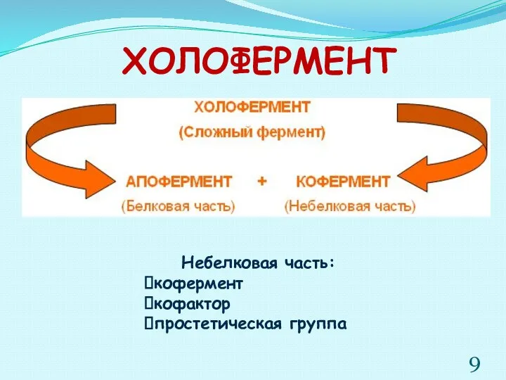 ХОЛОФЕРМЕНТ Небелковая часть: кофермент кофактор простетическая группа