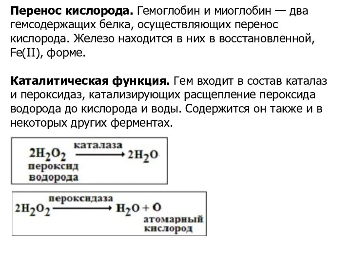 Перенос кислорода. Гемоглобин и миоглобин — два гемсодержащих белка, осуществляющих перенос