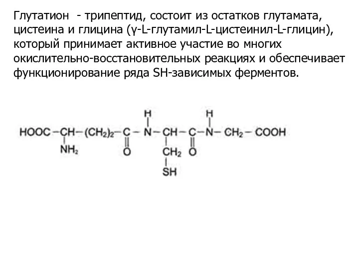 Глутатион - трипептид, состоит из остатков глутамата,цистеина и глицина (γ-L-глутамил-L-цистеинил-L-глицин), который