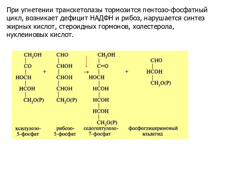 При угнетении транскетолазы тормозится пентозо-фосфатный цикл, возникает дефицит НАДФН и рибоз,