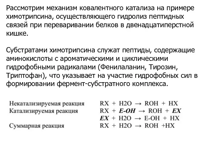 Рассмотрим механизм ковалентного катализа на примере химотрипсина, осуществляющего гидролиз пептидных связей