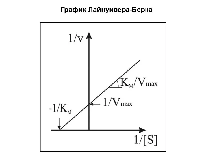 График Лайнуивера-Берка