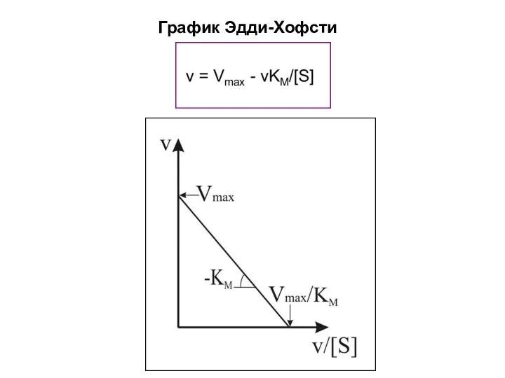 График Эдди-Хофсти