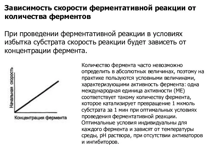 Зависимость скорости ферментативной реакции от количества ферментов При проведении ферментативной реакции