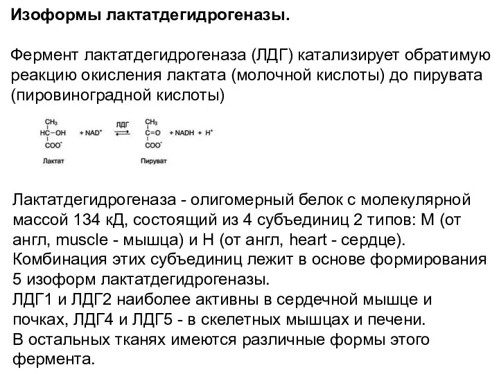 Изоформы лактатдегидрогеназы. Фермент лактатдегидрогеназа (ЛДГ) катализирует обратимую реакцию окисления лактата (молочной