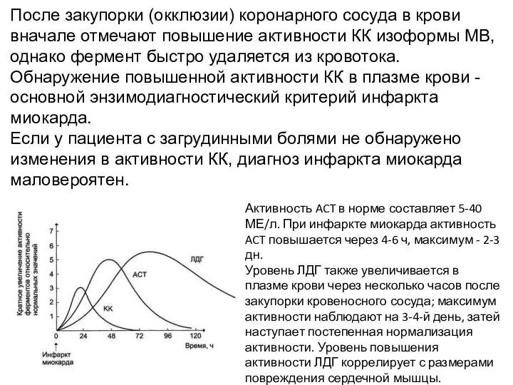 После закупорки (окклюзии) коронарного сосуда в крови вначале отмечают повышение активности