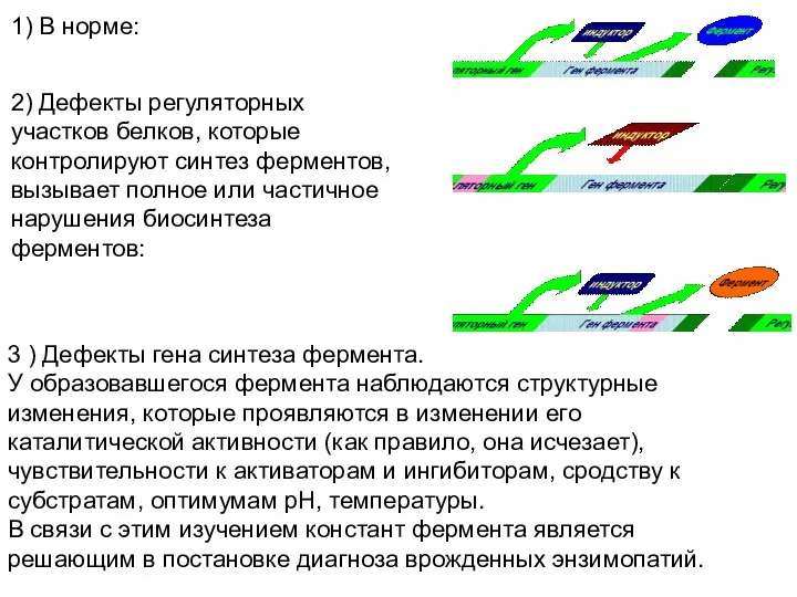 1) В норме: 2) Дефекты регуляторных участков белков, которые контролируют синтез