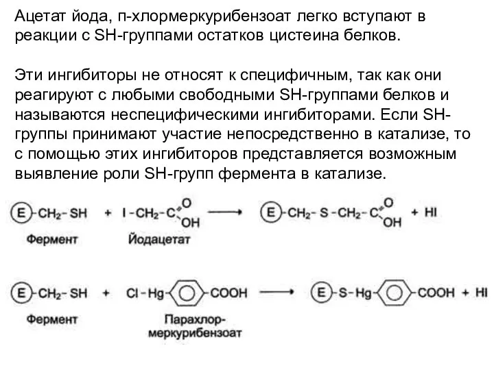 Ацетат йода, п-хлормеркурибензоат легко вступают в реакции с SH-группами остатков цистеина