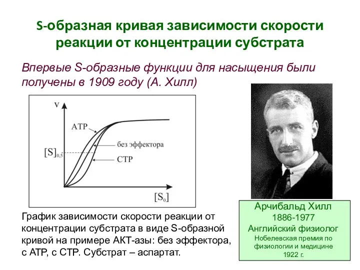 S-образная кривая зависимости скорости реакции от концентрации субстрата Арчибальд Хилл 1886-1977