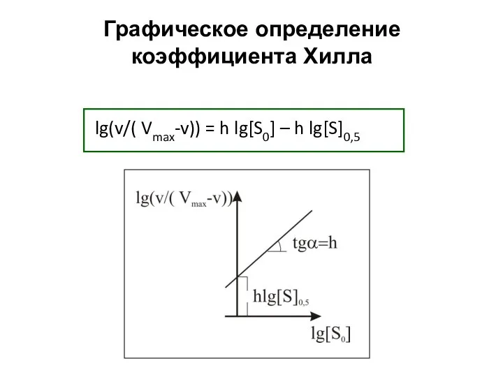 Графическое определение коэффициента Хилла lg(v/( Vmax-v)) = h lg[S0] – h lg[S]0,5