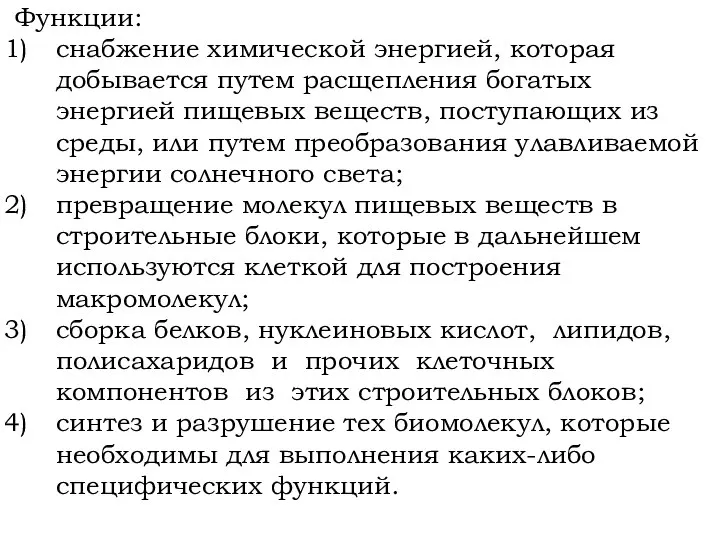 Функции: снабжение химической энергией, которая добывается путем расщепления богатых энергией пищевых