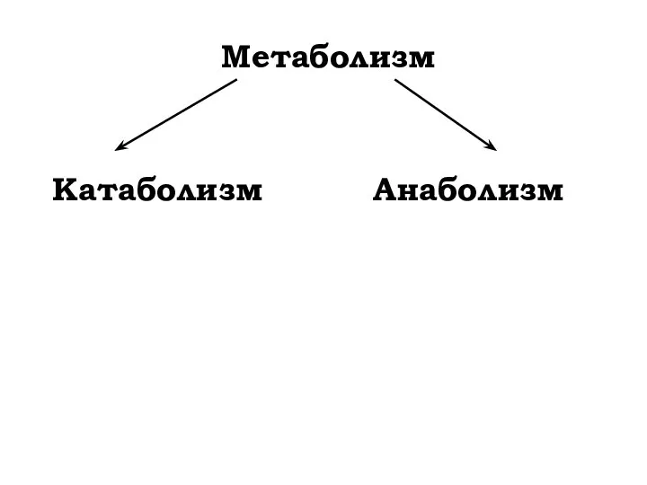 Метаболизм Катаболизм Анаболизм