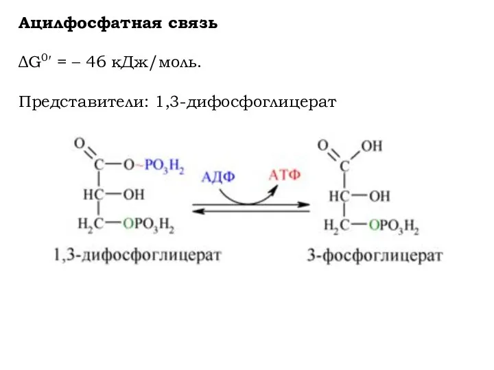 Ацилфосфатная связь ΔG0′ = – 46 кДж/моль. Представители: 1,3-дифосфоглицерат