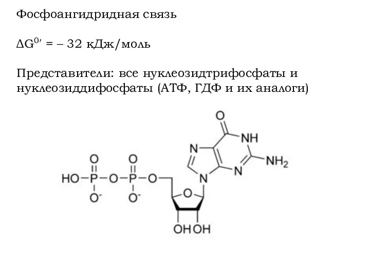 Фосфоангидридная связь ΔG0′ = – 32 кДж/моль Представители: все нуклеозидтрифосфаты и