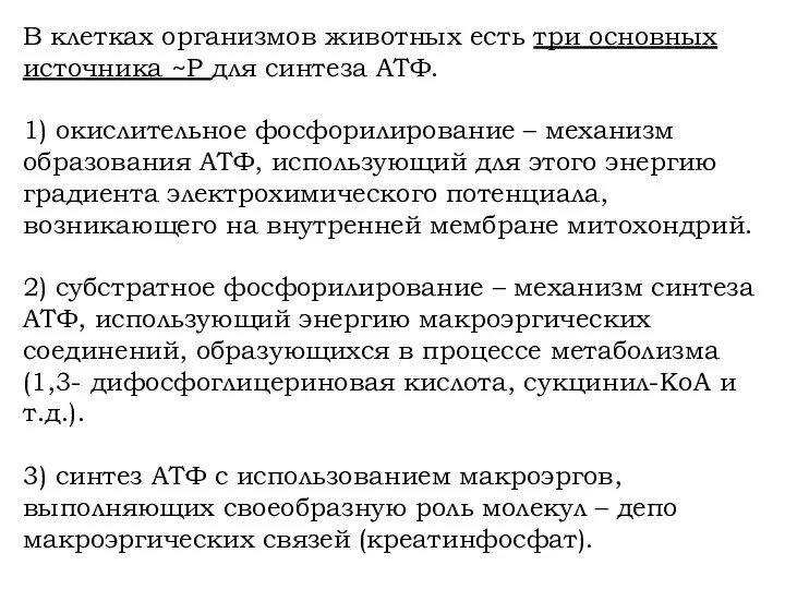 В клетках организмов животных есть три основных источника ~P для синтеза