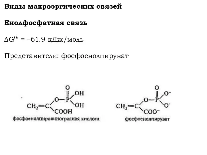 Виды макроэргических связей Енолфосфатная связь ΔG0′ = –61.9 кДж/моль Представители: фосфоенолпируват