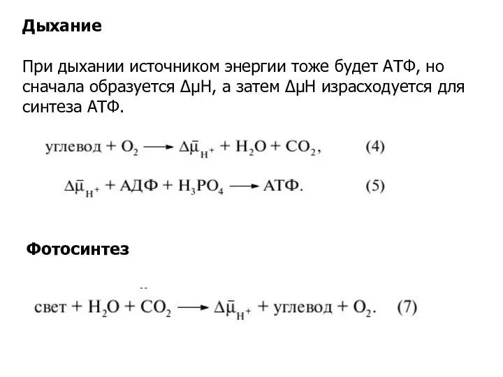 Дыхание При дыхании источником энергии тоже будет АТФ, но сначала образуется