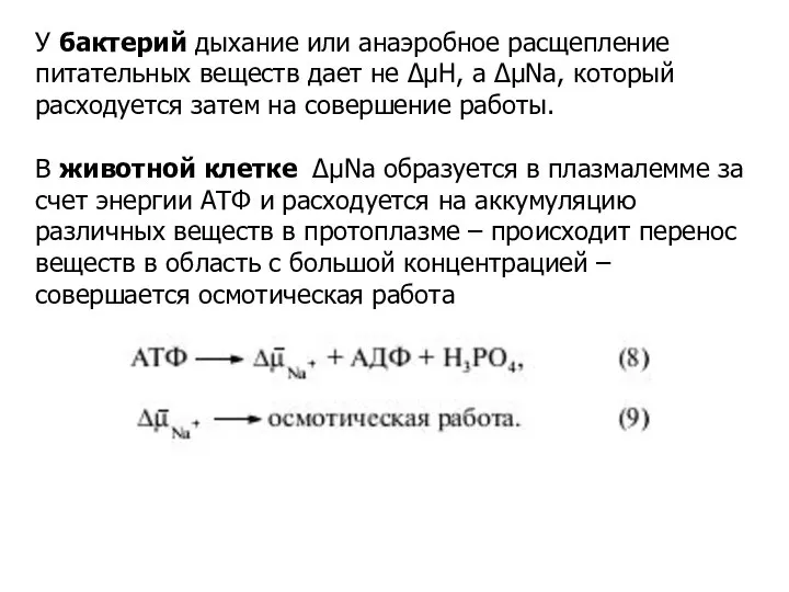 У бактерий дыхание или анаэробное расщепление питательных веществ дает не ΔμΗ,