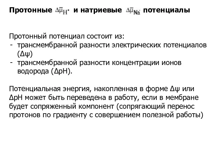 Протонные и натриевые потенциалы Протонный потенциал состоит из: трансмембранной разности электрических