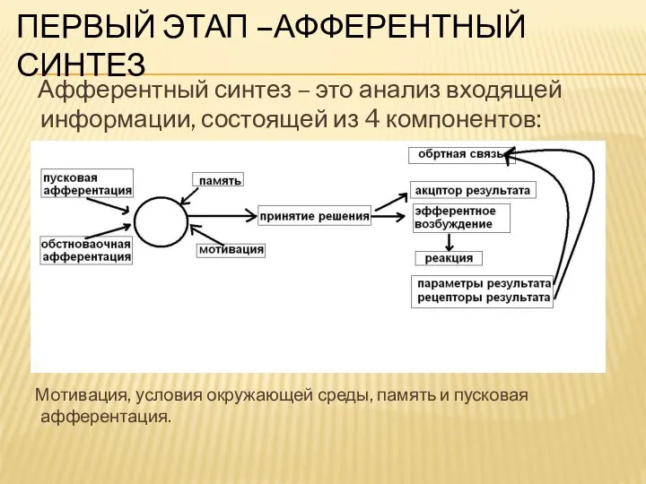 Афферентный синтез – это анализ входящей информации, состоящей из 4 компонентов: