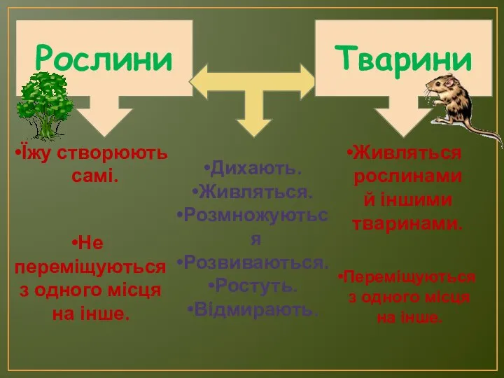 Рослини Тварини Їжу створюють самі. Не переміщуються з одного місця на