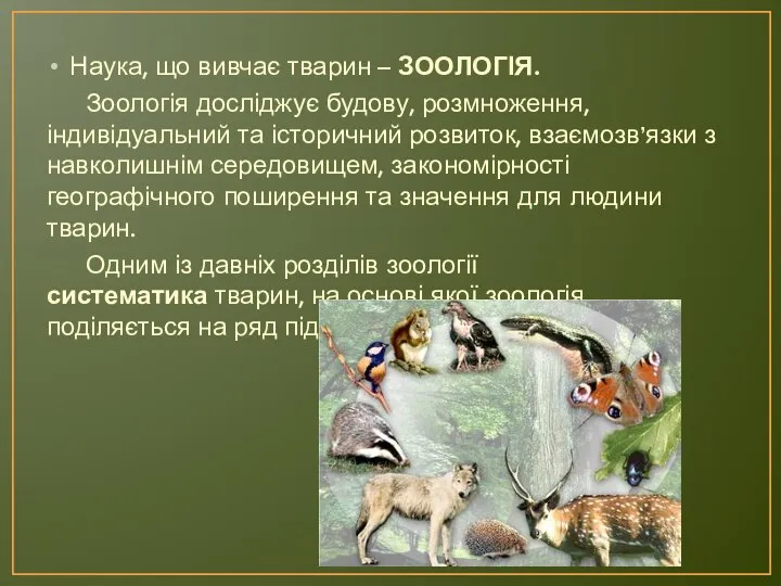 Наука, що вивчає тварин – ЗООЛОГІЯ. Зоологія досліджує будову, розмноження, індивідуальний