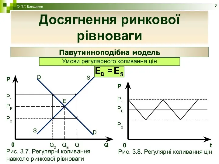 Досягнення ринкової рівноваги Павутинноподібна модель Умови регулярного коливання цін © П.Г. Банщиков