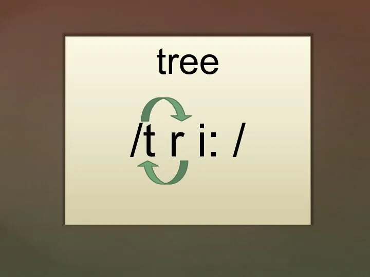 tree /t r i: /