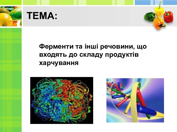 ТЕМА: Ферменти та інші речовини, що входять до складу продуктів харчування